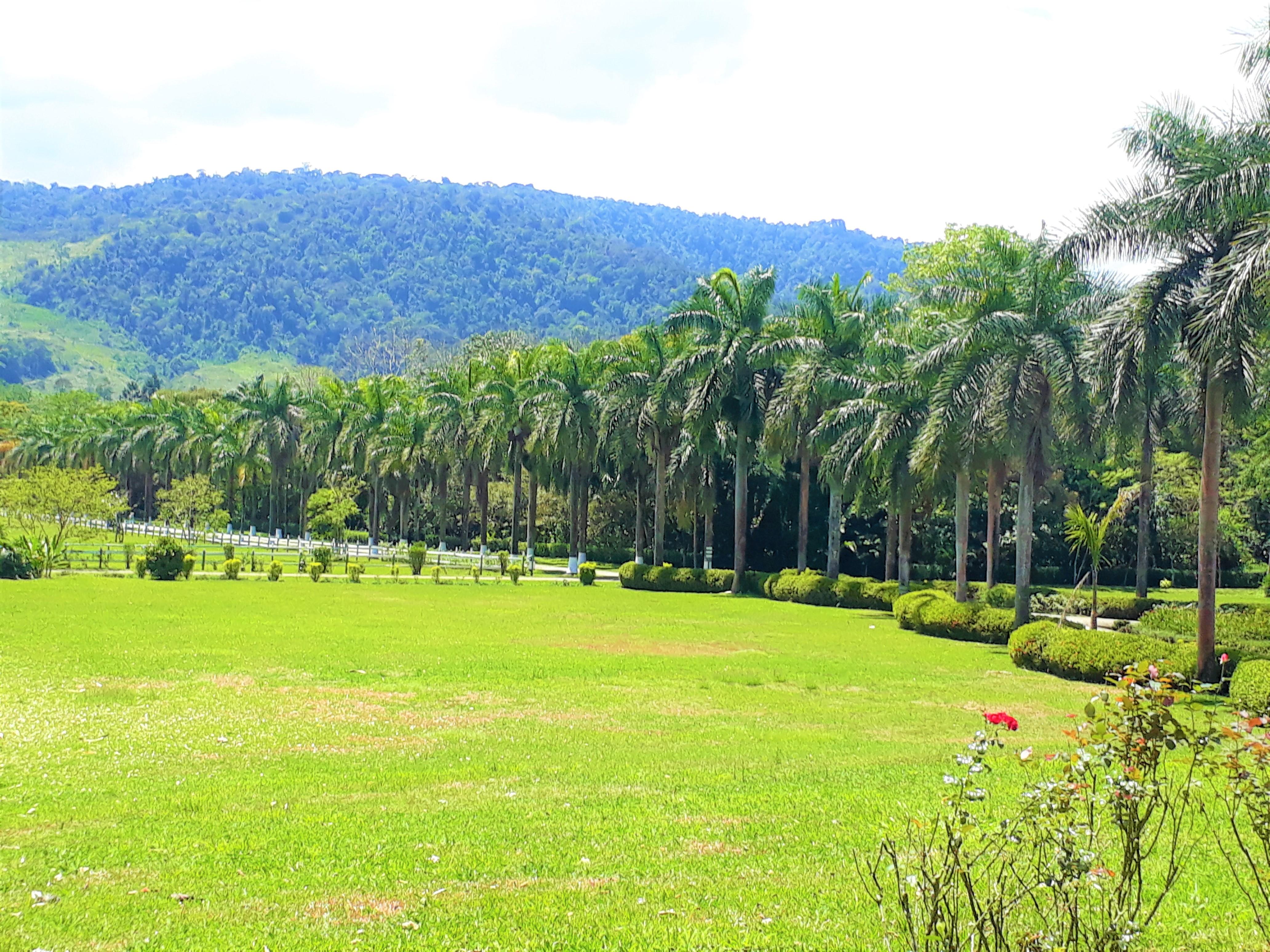 Hotel Casa Turire Turrialba Eksteriør billede