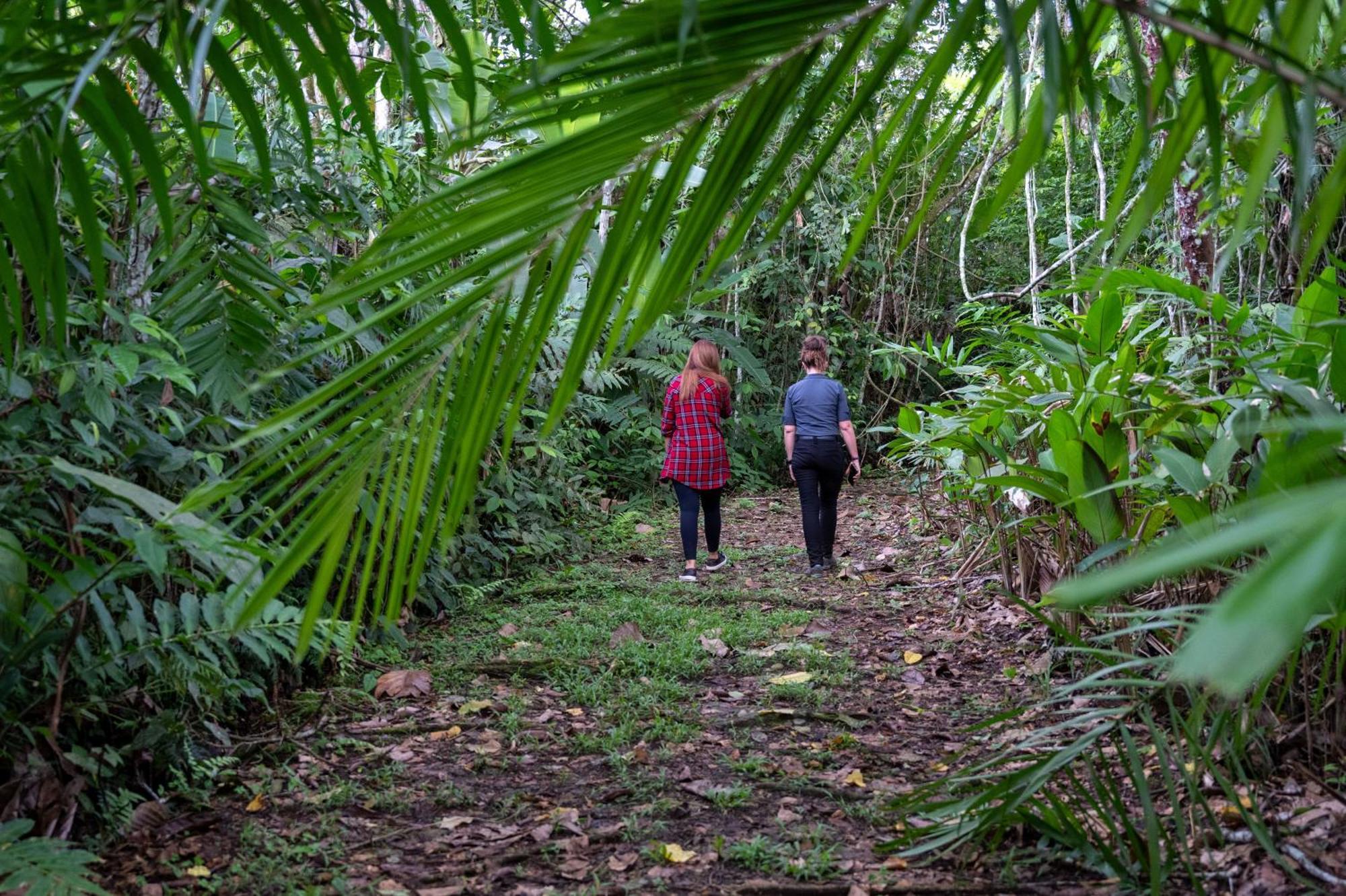 Hotel Casa Turire Turrialba Eksteriør billede